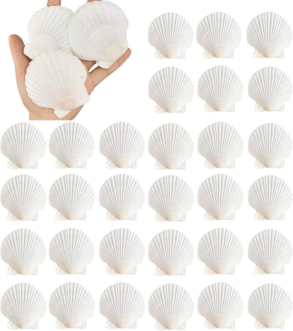 30PCS Natural Scallop Shells 2.3''-3'' White Sea Shells for DIY Craft Making, Hand Painting, Ocean Themed Party and Home Dcor