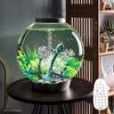 biOrb Classic 60 Acrylic 16-Gallon Aquarium with Multi-Color Remote-Controlled LED Lights Modern Tank for Tabletop Display, Black