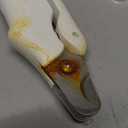 2 in 1 Dog Nail Clippers & Cat Nail Clippers Trimmers for Large Medium Small Dogs Cats Claw Trimmer Quick Sensor and Safety Guard USB Rechargeable Dogs Nail Trimmer with Catcher & 2 LED Lights (White)