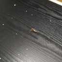 Furinno CLASSIC Coffee Table, Modern Rectangle Coffee Table with 1.8" Triple Thick Tabletop, Side Table, Toolless Assembly, for Living Room, Home Office, Black