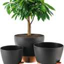 8/10/12 Inch Self Watering Pots for Indoor/Outdoor Plants - Large Plastic Planter with Drainage Holes, Water Level Indicator & Deep Reservoir, Modern Decorative Flower Pots (Black)