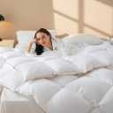 Down Comforter Full Size  All Season Medium Weight Fluffy White Duvet Insert, Warm Feather Bedding, Soft 100% Cotton Cover