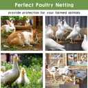 Tongmo 24" x 50' Hardware Cloth, 1inch Mesh Galvanized Chicken Wire Fence, 19 Gauge Welded Wire Roll,Garden Fence, Poultry Netting for Rabbit/Duck/Chicken Coop