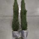 Artificial Topiary Tree Set of 2 Artificial Cedar Trees 4FT Uv Resistant Pine Potted Artificial Plants Outdoor Realistic Fake Plants Front Porch Decor Indoor Faux Cypress Trees