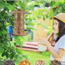 SWEETFULL Solar Bird Feeder for Outdoors Hanging, Metal Wild Bird Feeder for Cardinals Solar Garden Lantern with S Hook as Gift Ideas for Bird Lovers (2LBs Heavy Duty Weather Resistance birdfeeders)