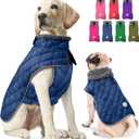 Fragralley Dog Winter Coat, Waterproof Windproof Reflective Fleece Jacket with Harness Hole, Warm Snow Vest for Large Dogs, Ideal Gifts (Blue)