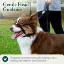 Sporn Head Halter for Dogs, No Pull Dog Harness, Durable Nylon Training Collar for Large Breeds, No Choke Design, Padded Restraints, Adjustable Fit, Easy On/Off, Black, Large