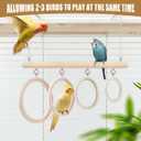 La La Pet Bird Swing Rings 4-Ring Perch Stand Wooden Parrot Playground Relieve Boredom Hanging Birdcage Accessories for Budgies Cockatiels Conures Parakeets Cockatoos
