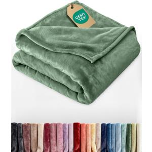Ultra Soft Fleece Blanket Queen Size - Flannel Fleece Luxury Queen Blanket - Lightweight for Couch Bed Chair - Thick, Warm and Breathable - All Season Cozy Anti-Static Microplush Bedding, Sage Green