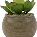 allgala Small Desktop Artificial Succulent Plant Indoor and Outdoor Indoor Fake Plants with Natural Clay Pot