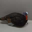 Primos Hunting Lil Gobstopper Jake Turkey Decoy Light-Weight, Collapsible Hunting Decoy 69074, Multi