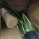 Artificial Snake Plant, 3ft Fake Sansevieria with Basket, 35" Fake Mother in Law Plants, Perfect Faux Potted Plant Greenery for Indoor Home Office Store Lifelike Decoration (Yellow)