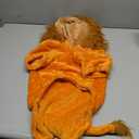 DELIFUR Dog Halloween Lion Costume - Adorable Pet Dress Up Clothes Animal Warmth Cosplay Holiday Coat for Small and Medium Dog Funny Outfit Comfort (Orange Lion, Large)