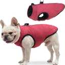 SCENEREAL Winter Dog Vest Coat with Harness Built In, Warm Puppy Jacket for Small Medium Dogs, Cold Weather Coat with Zipper, Fleece Puffer Vest Windproof Snow Clothes (L (Chest 19")-Regular, #1 Red - Matte)