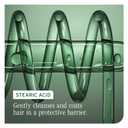 Biolage Color Last Conditioner - Protects & Preserves Color Treated Hair, Hydrates & Repairs Damaged Hair, Adds Shine, Vegan, Paraben-Free (13.5 Fl Oz (Pack of 1))