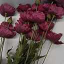 IPOPU Burgundy Silk Flowers 6PCS Fake Poppies Artificial Flowers for Veterans Day Floral Centerpieces, Tables, Wedding Decorations, Reception