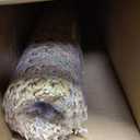 24" Width Natural Cane Webbing 5Ft, Rattan Webbing Roll for Caning Projects