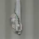 Tension Curtain Rod 30 To 63 Inch White Tension Rods Adjustable Spring Loaded Curtain Rods 7/8" Curtains Rods No Drilling Tension Rods For Windows Bedroom Closet Doorway Door