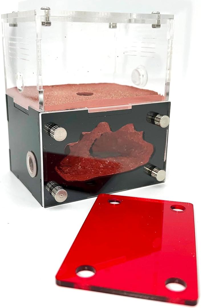 Ant Farm&Nest,House, Nest for ant Farm, Behavior Study House, Small Ant House.