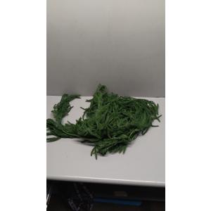 70 inches Artificial Norfolk Pine Garlands, Real Touch Winter Pine Garland, Green Artificial Greenery Garland for Table, Mantle, Wall, Indoor, Outdoor Christmas Decorations (Green)