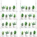 Ziliny 2 Pcs 16 Inch 4Tier Clear Hanging Window Plant Shelves Acrylic Height Adjustable Plant Stand Hanger Flower Pot Organizer Storage for Indoor Window Wall Garden Grow Herb Succulent