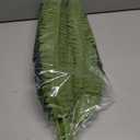 FOREST PRINCE 42" Artificial Boston Fern Large Bush Plants, 2 Bundles of Fake Ferns with 65 Fronds for Outdoors Home Decor