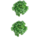 Faux Leaves Garland Small Fake Plants for Green Leaf Decor Home