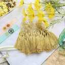 2 x MUXGOA 150 Pcs Bookmark Tassels for Crafts,Key Chain Mini Tassels for Jewelry Making & Graduation Book Marks(Light Gold)