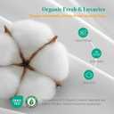 APSMILE Down Feather Throw Pillow Inserts, 18x18 Pillows Set of 2 with Organic Cotton Cover, Soft Square Decorative Pillows for Couch Living Room, Sofa, and Bed（White）