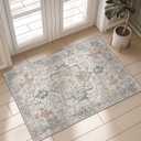 GENIMO Area Rug 2x3 FtDoormat, Machine Washable Low Pile Rugs, Small Retro Chenille Entryway Mat for Entrance, Hallway, Kitchen and Corridor, Light Taupe Brown