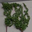 Artificial Succulents Hanging Plants-4 PCS Fake String of Pearls Greenery Plant Wall Decor Faux Hanging Nature Plants for House Living Room Bathroom Bedroom Shelf Balcony Garden Indoor Outdoor27.5"