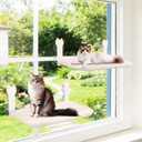 2 Pack Cat Window Perch,Cat Window Hammock Cordless Foldable Window Bed with 4 Large Strong Suction Cup,Reversible Cushion Cover,Metal Frame Easy to Adjust Window Seat Holds up to 40lbs(Beige