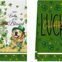 XCHI Dog Shamrocks Clovers Cross Coins St. Patrick's Day Kitchen Towels Dish Towels 18x26 Inch Home Kitchen Decorations Hand Towels Set of 2 Drying Dishcloth