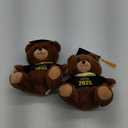 2 Pack Graduation Teddy Bear 2025 – Plush Bear with Cap & Gown – Class of 2025 Gift for Graduates – Soft Stuffed Animal Keepsake for High School, College, or Kindergarten Graduation