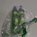 Garnier Fructis Curl Refresher Reviving Water Spray, Sulfate Free, 8.5 Fl Oz, 2 Count 
