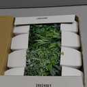 Der Rose 8 Pack Fake Plants Small Artificial Faux Potted Plants for Home Office Farmhouse Bathroom Bedroom Decor Indoor (Grey)