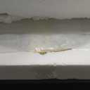 2 Tier Round Side Table, Gold End Table with Glass Top, Modern Metal Clear Coffee Tables, Small Accent Tables for Living Room, Bedroom, 18" x 18"