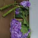 Purple Hydrangea Artificial Flowers 3pcs Lifelike Faux Hydrangea Real Touch Fake Flowers for Home Wedding Christmas Office Party Living Room Decoration,22inch