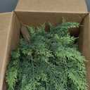 Set of 2 3FT Artificial Cedar Topiary Trees with Thickened Ground Spike, UV Resistant Faux Evergreen Bushes Fake Cypress Shrubs for Indoor Outdoor Front Porch Garden Decor