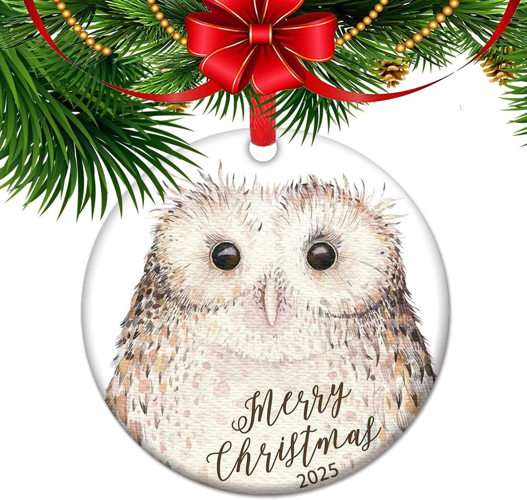 Wise Winter Owl Ornament, Owl Lover Gifts, Nature Lover Gift, Woodland Animals, Forestcore Ceramic Xmas Decoration (C19)