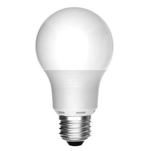 A 19 LED BULB