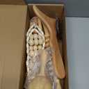 Wood Therapy Massage Tools Maderoterapia Kit Body Sculpting Tools for Lymphatic Drainage and Anti-Cellulite .Wood Massager Roller Rpoe for Back and Muscle Pain Relief (Medium)