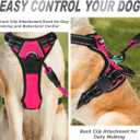 BARKBAY No Pull Dog Harness Front Clip Heavy Duty Reflective Easy Control Handle for Large Dog Walking(Pink,L)