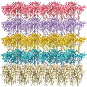 Fumete 100 Pcs Mini Dried Baby Breath Flowers Gypsophila Ivory Mixed Color Dried Flowers for Vase Wedding Home Office Party Garden Card Making Decoration Wreath Floral Craft DIY Art
