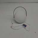 Globe Indoor/ Outdoor Lantern