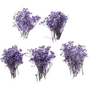 50 pcs Mini Dried Purple Baby Breath Flower Purple Dried Flower for Crafts Press Flowers Wedding Wreath Decoration Gift Card Decor Floral