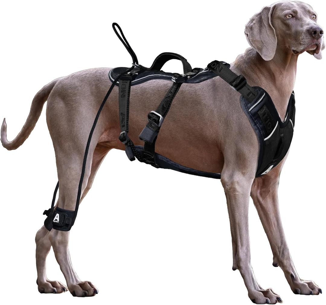 No Pull Dog Harness for Large Dogs, Heavy Duty Tactical Dog Harness with Handle, Easy Control and Training Better Leash Manners (Onyx Black, Medium)