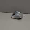 DEYNGS Afro Headband Wig Kinky Curly Headband Wig with Bangs Ombre Afro Puff Wigs for Women Brown High Puff With Bangs Wrap Synthetic Half Wigs