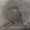 CNRATYE 6-Light Brushed Nickel Chandeliers for Dining Room Light Fixtures Over Table, Adjustable Height Hanging Industrial Pendant Lighting for Kitchen Island Bedroom, Clear Glass Shade