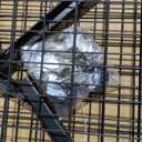 Grid Wall Panels, 2 Packs 3'x 6' Grid wall Panels Stand with T-Base, Black Wire Gridwall Display Rack, Craft Show Display Rack, Art Gridwall Display Stand